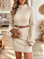 Vintage Chic Turtleneck Art Casual Knit Stylish Long Sleeve Mini Dress