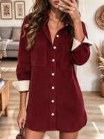 Vintage Chic Lapel Art Casual Stylish Long Sleeve Mini Shirt Dress